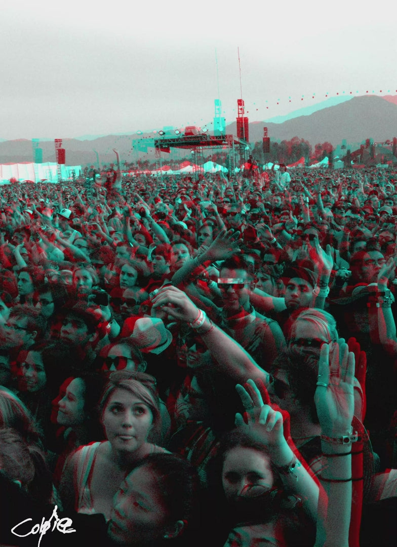 Coachella Crowd - 2010